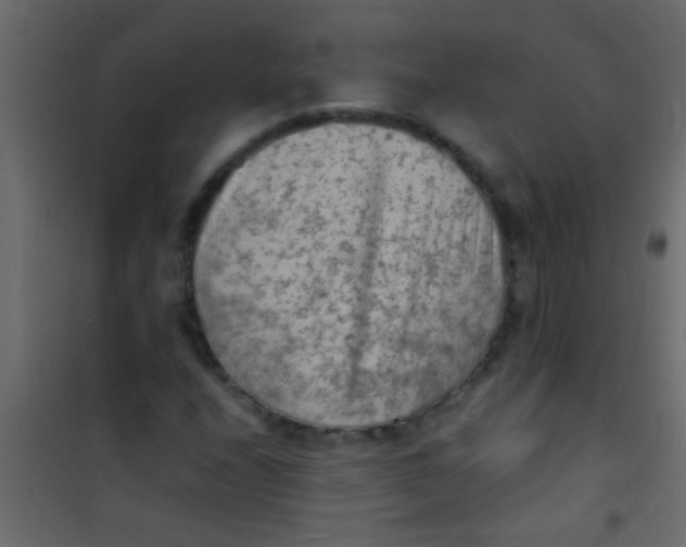 X0000101111208200807171928