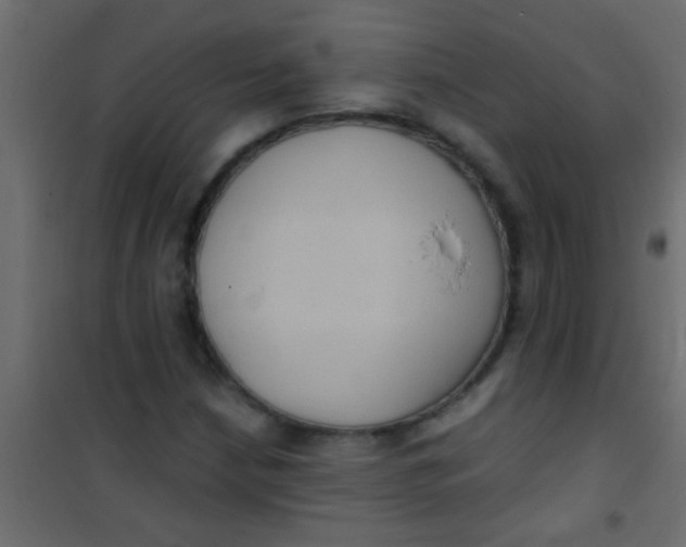 X0000101111210200807171928