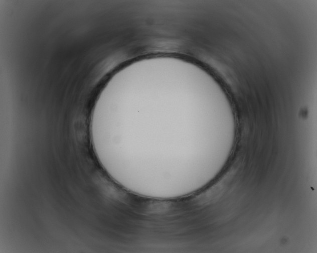 X0000101111211200807171928