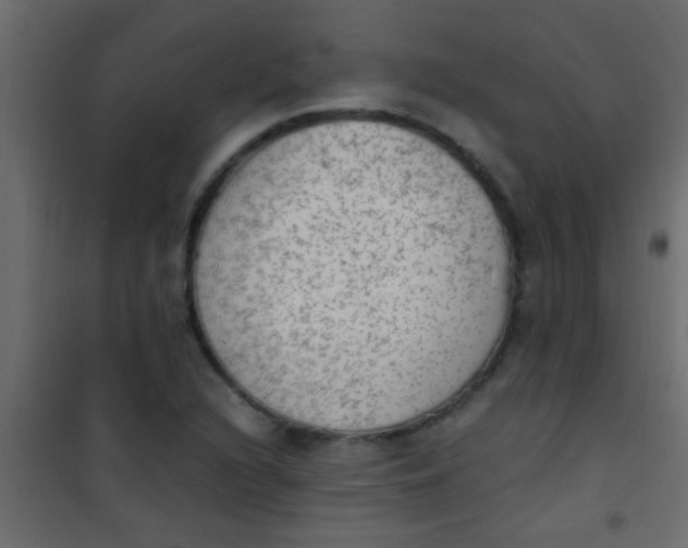 X0000101111216200807171928
