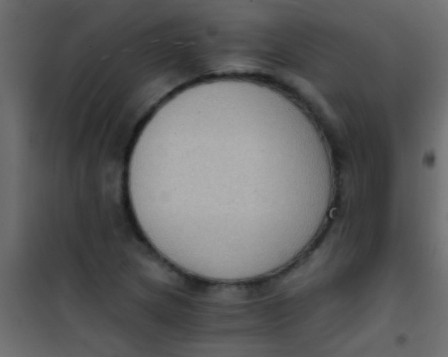 X0000101111217200807171928