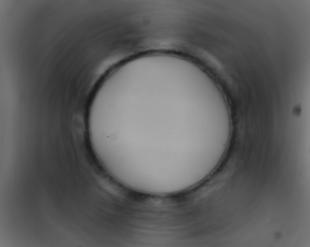 X0000101111218200807171928