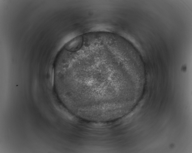 X0000101111219200807171928