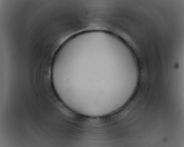 X0000101111220200807171928