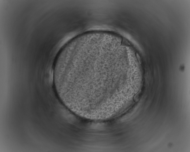 X0000101111221200807171929