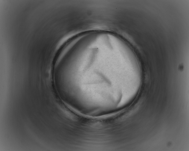 X0000101111222200807171929