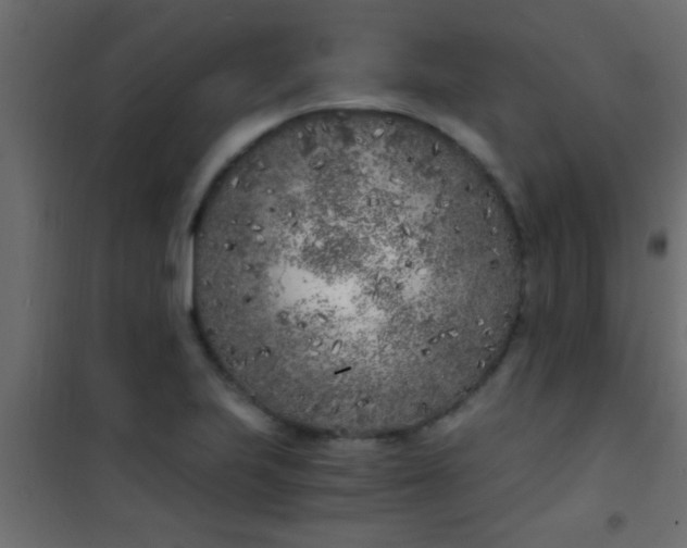 X0000101111223200807171929