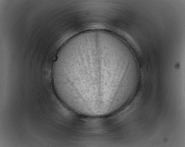 X0000101111225200807171929