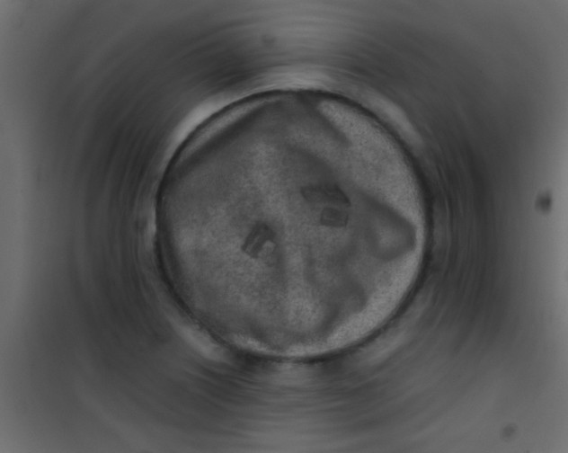 X0000101111226200807171929