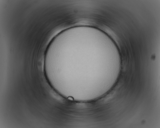 X0000101111227200807171929
