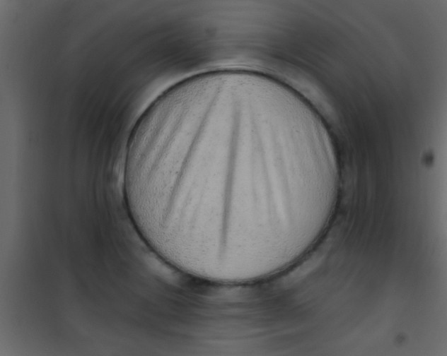X0000101111228200807171929