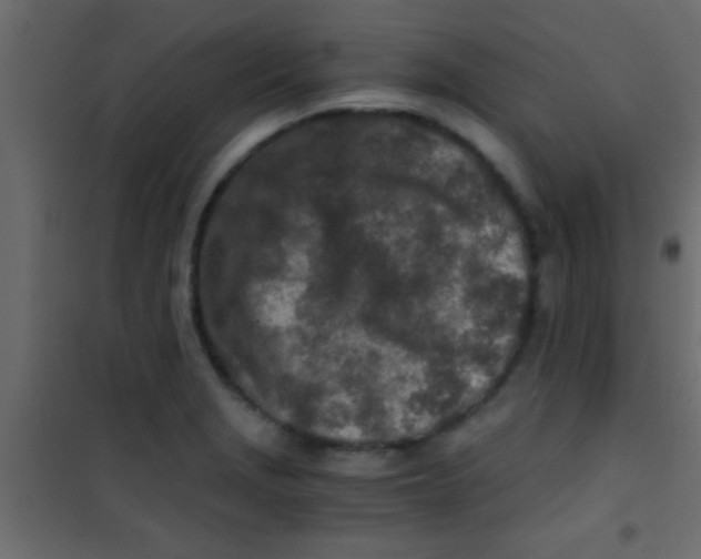 X0000101111229200807171929
