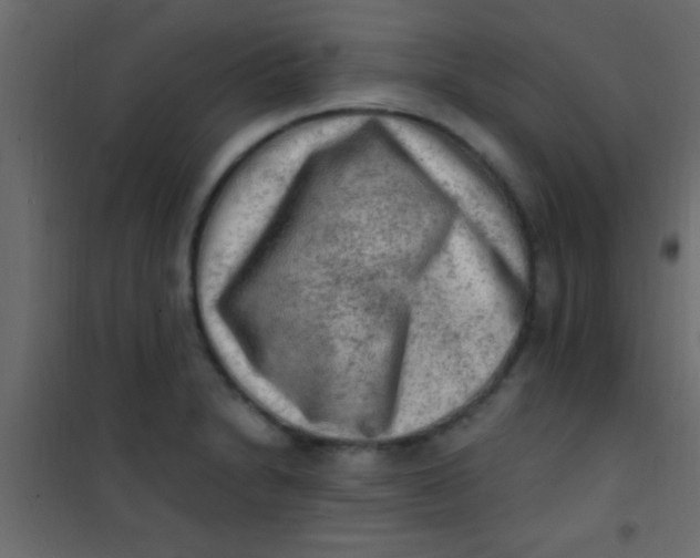X0000101111230200807171929