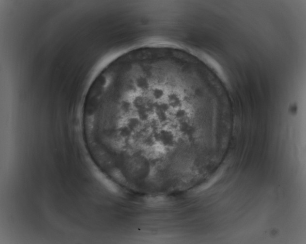 X0000101111231200807171929