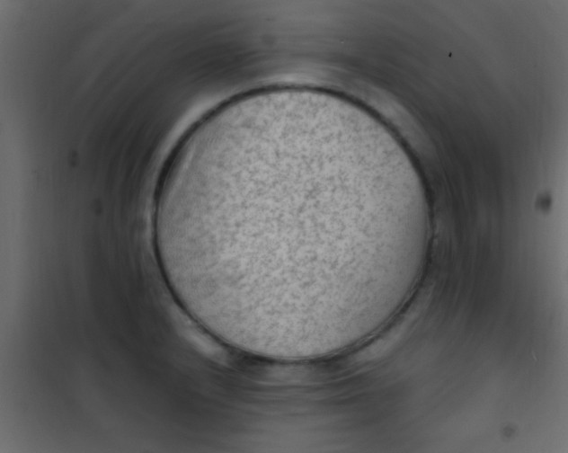 X0000101111232200807171929