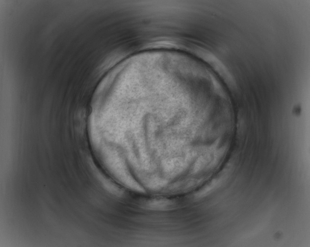 X0000101111233200807171929
