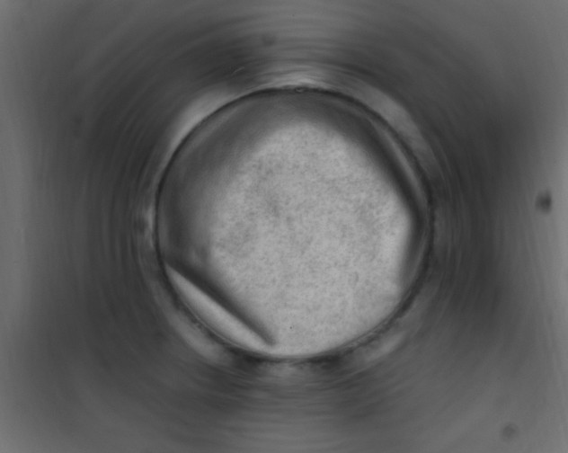 X0000101111234200807171929