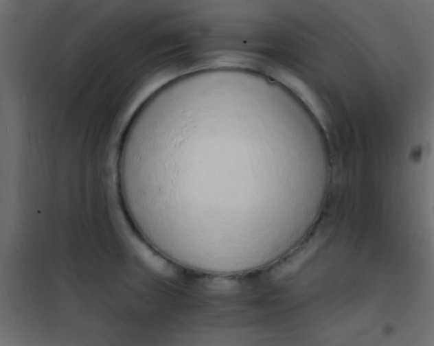 X0000101111235200807171929