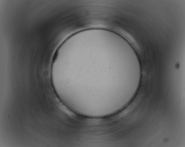 X0000101111236200807171929