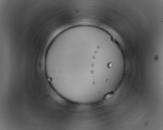 X0000101111238200807171929