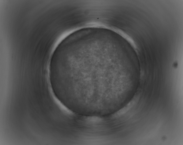 X0000101111239200807171929