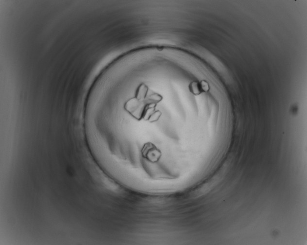 X0000101111240200807171929