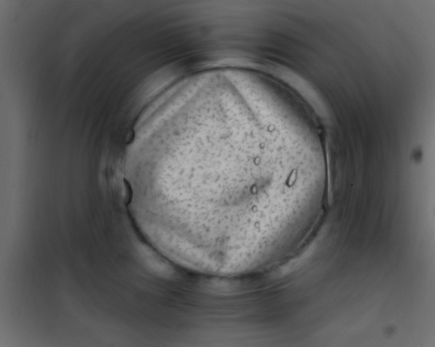 X0000101111241200807171929