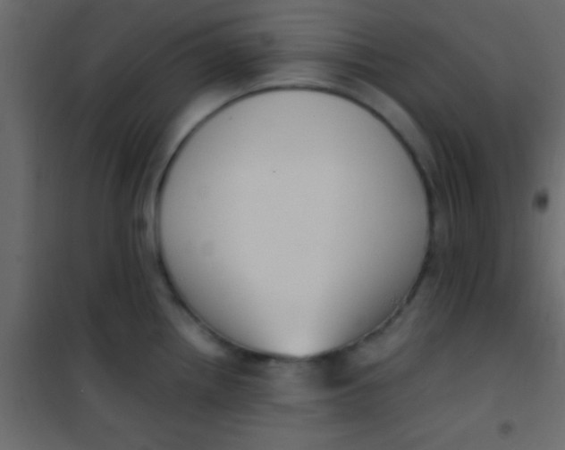 X0000101111242200807171929