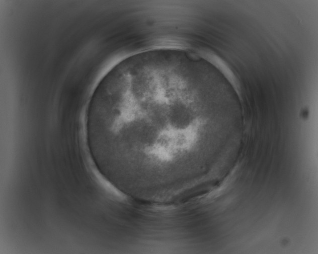 X0000101111243200807171929