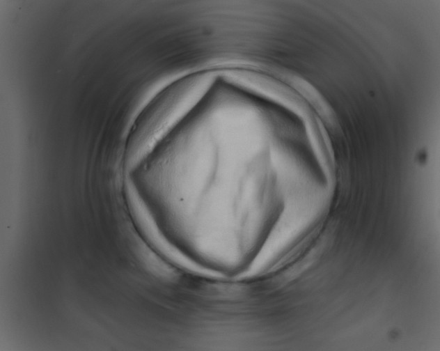 X0000101111244200807171929