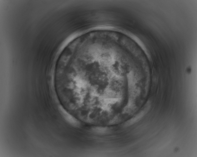 X0000101111245200807171929