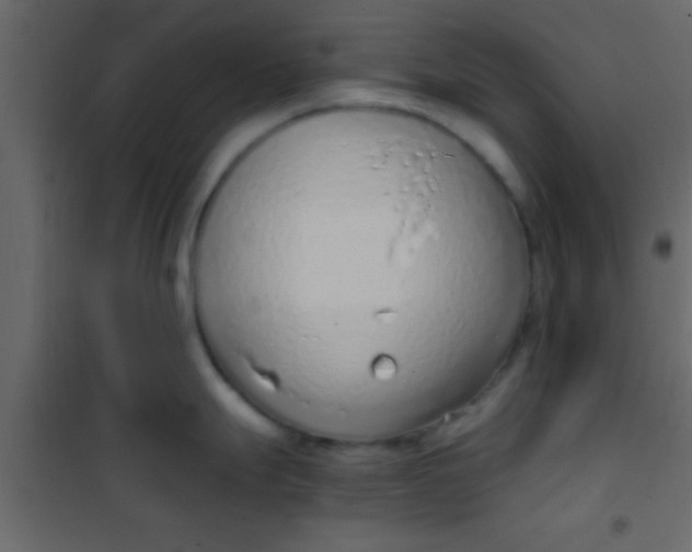 X0000101111247200807171929