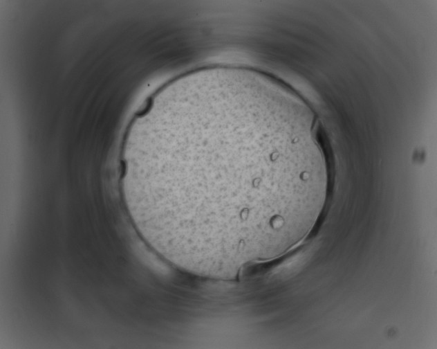 X0000101111248200807171929
