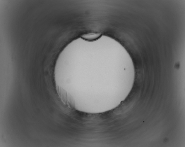 X0000101111249200807171928