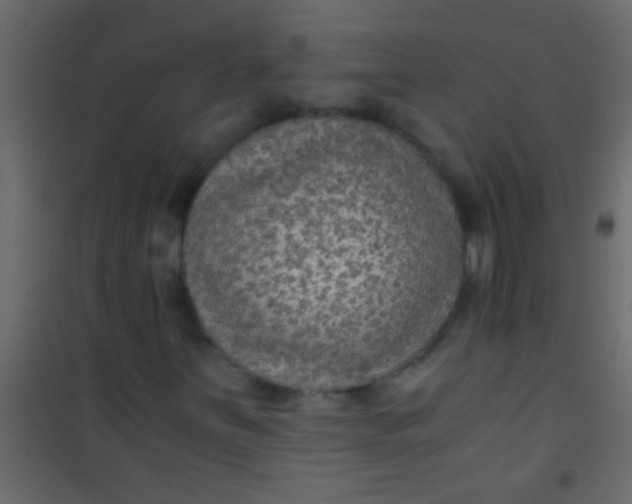 X0000101111251200807171928