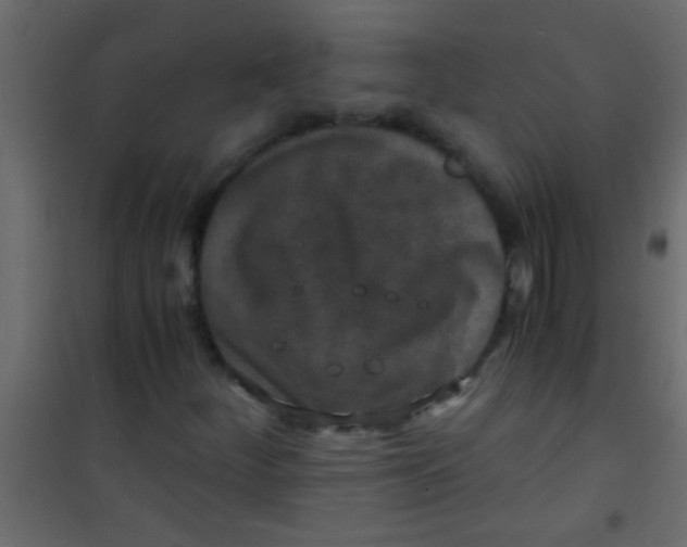 X0000101111252200807171928
