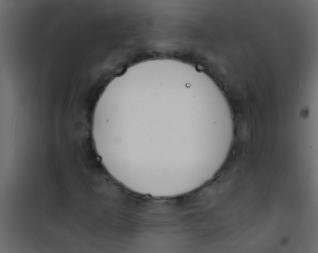 X0000101111253200807171928