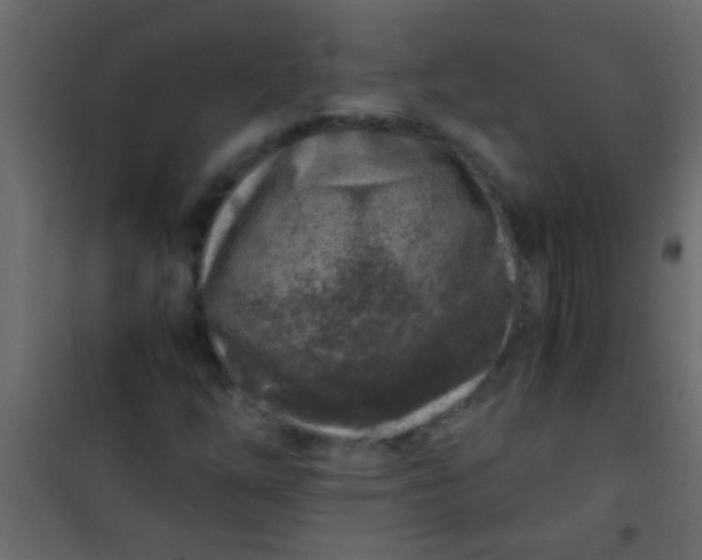X0000101111254200807171928