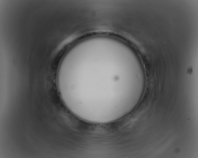X0000101111255200807171928