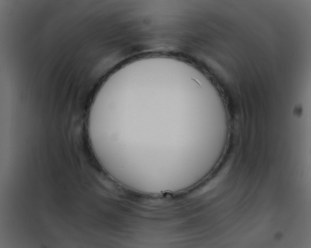 X0000101111257200807171928