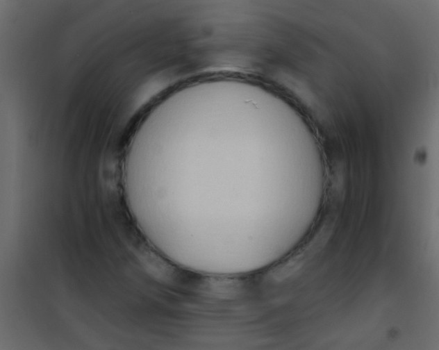 X0000101111258200807171928