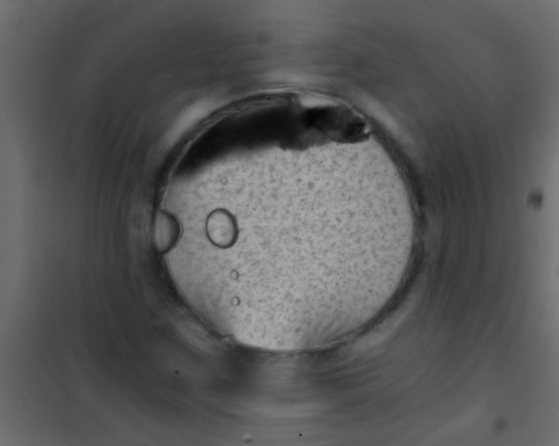 X0000101111259200807171928