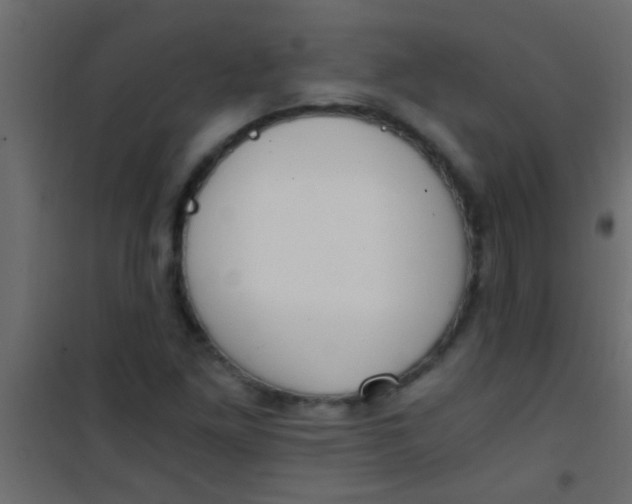 X0000101111261200807171928