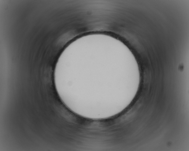 X0000101111265200807171928