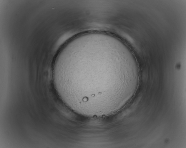 X0000101111267200807171928
