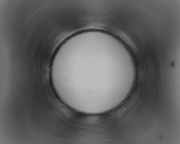 X0000101111268200807171928