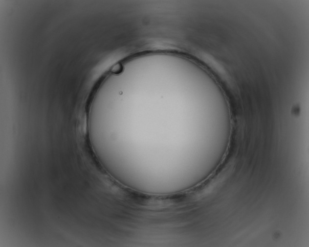 X0000101111269200807171928
