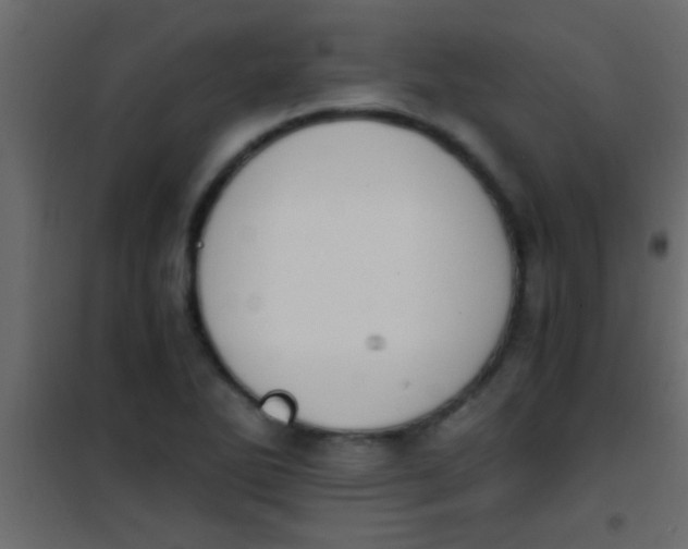 X0000101111270200807171928