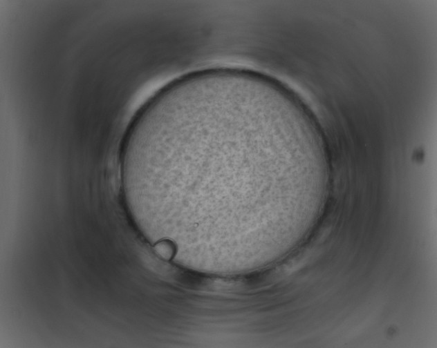 X0000101111271200807171928