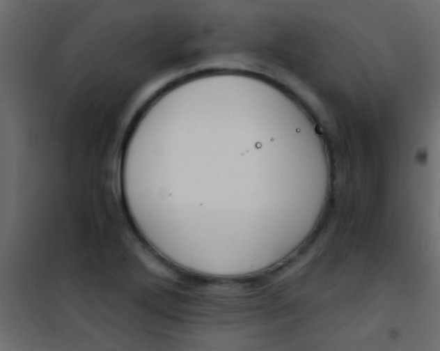 X0000101111272200807171928